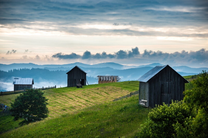 Bucovina. Paltinu de sus