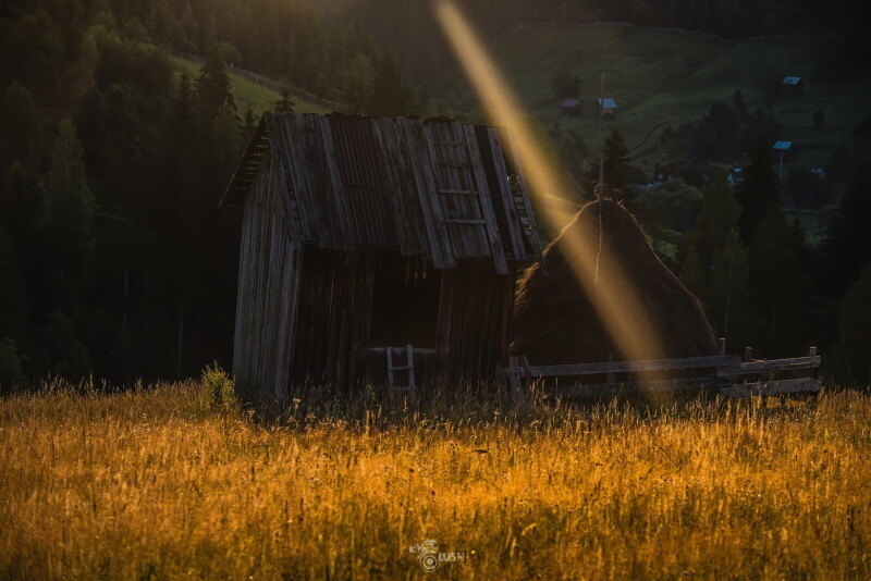 Bucovina, Sadova