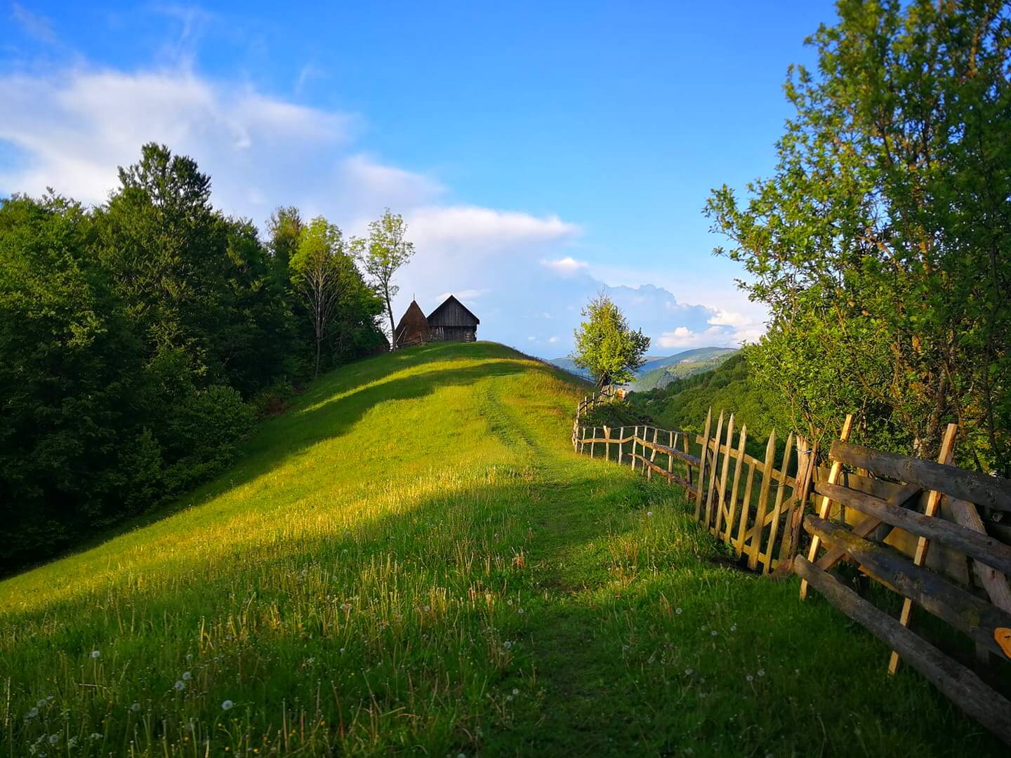 nuntă cu natura in apuseni