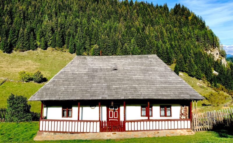 Casa Pelinica